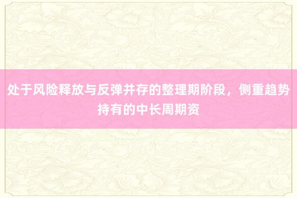 处于风险释放与反弹并存的整理期阶段，侧重趋势持有的中长周期资